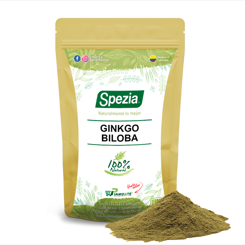 Ginkgo Biloba