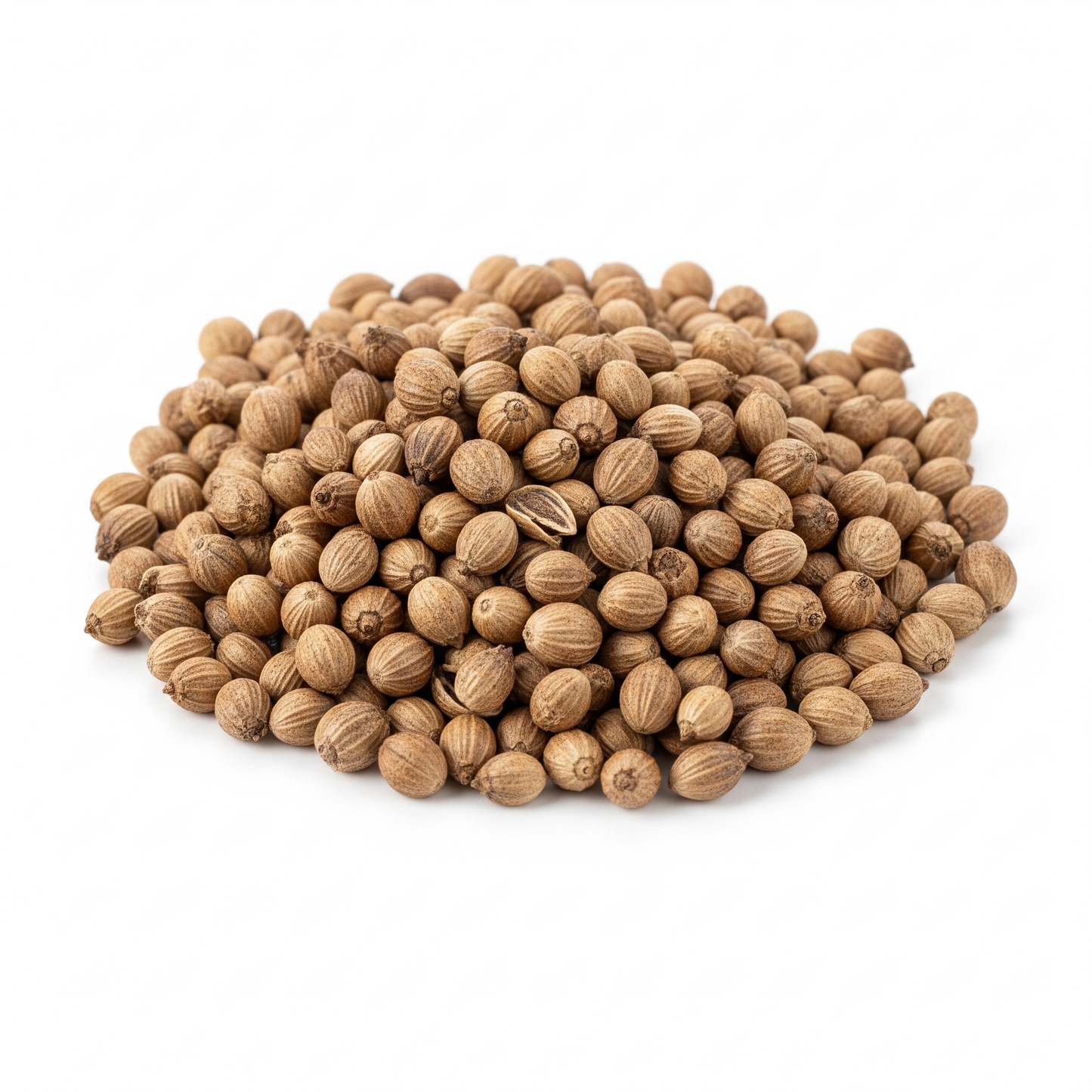 Semilla De Cilantro