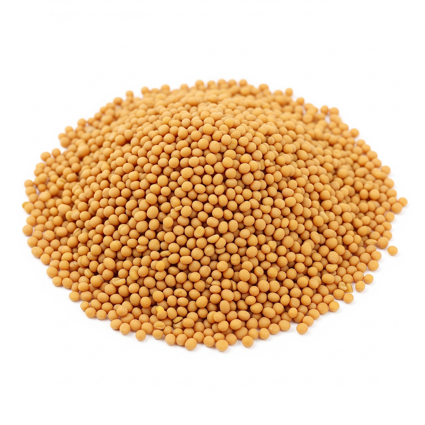 Granos (Semilla) de Mostaza