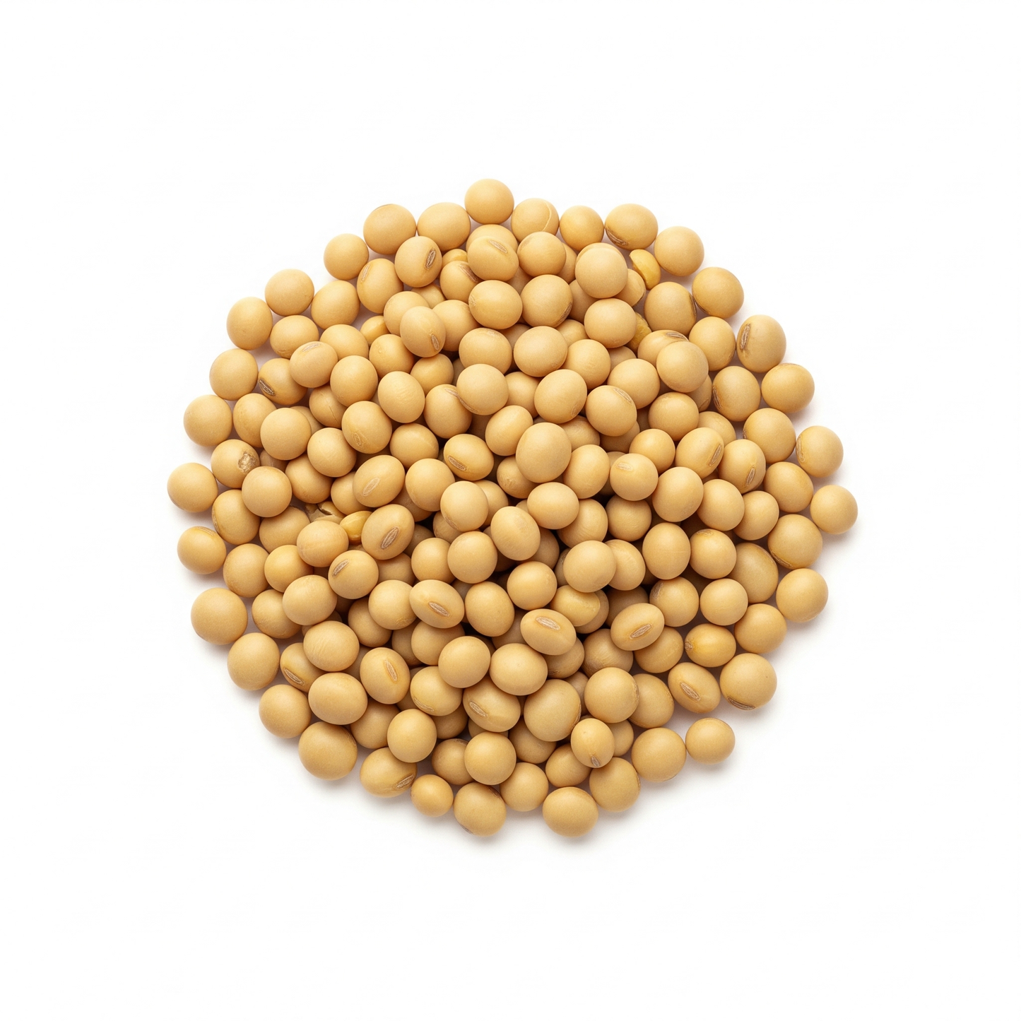 Soya Entera