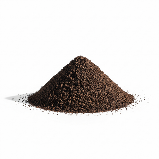 Té Negro